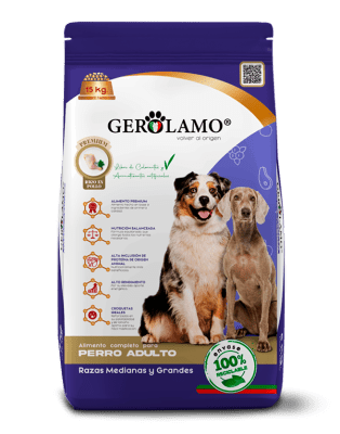GEROLAMO PERRO ADULTO RAZA MEDIANA GRANDE