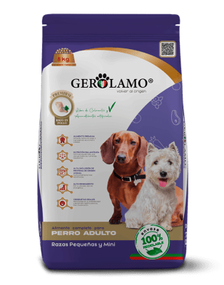 GEROLAMO PERRO ADULTO RAZA PEQ/MINI