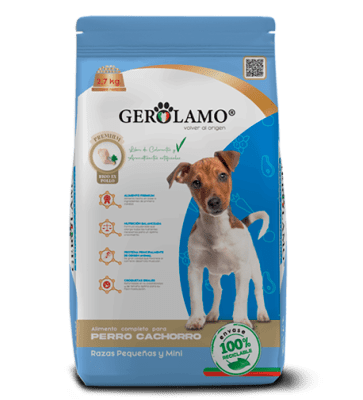 GEROLAMO PERRO CACHORRO RAZA PEQUEÑA Y MINI