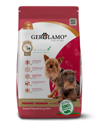 GEROLAMO PERRO SENIOR RAZA PEQUEÑA Y MINI