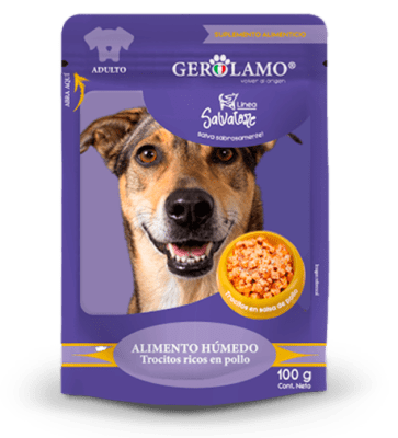 GEROLAMO SALVATORE POUCH PERRO AD POLLO