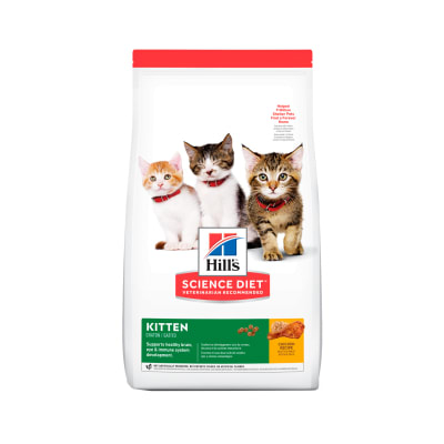 HILLS F KITTEN
