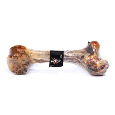 HUESO FEMUR DE VACUNO