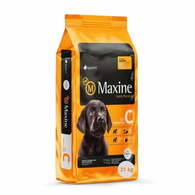 MAXINE CACHORRO