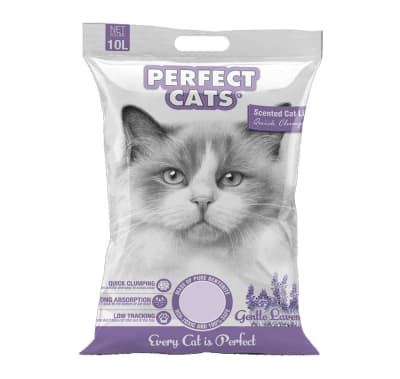 PERFECT CATS LAVANDA