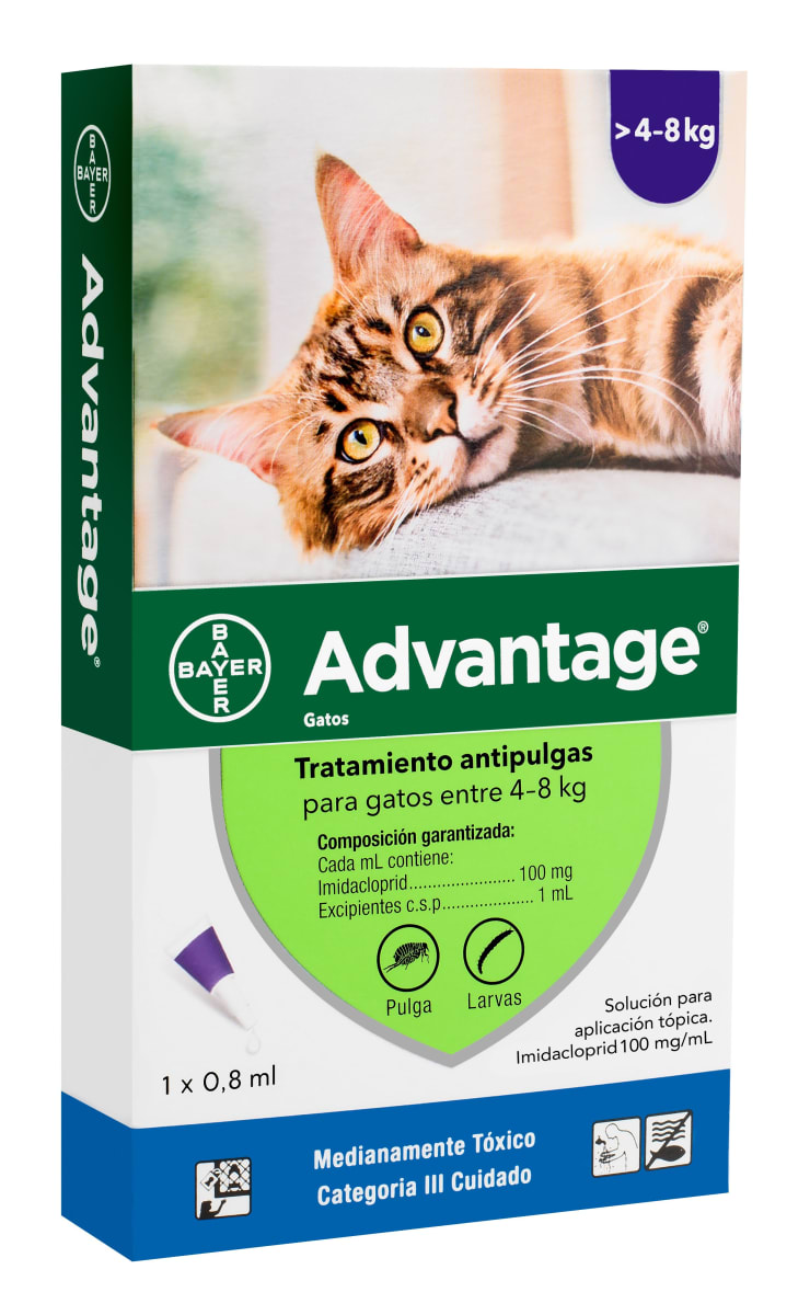 ADVANTAGE GATOS1