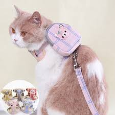 ARNES PARA GATO1