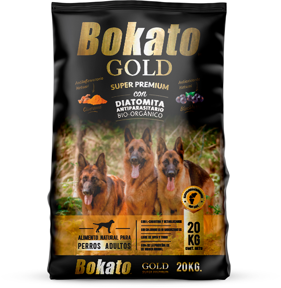 BOKATO GOLD1