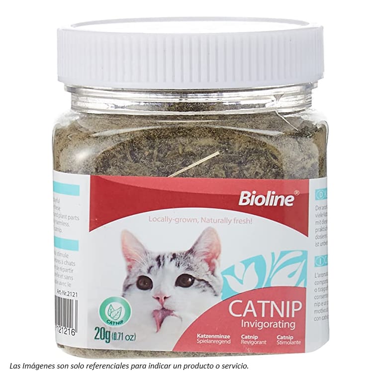 FRASCO CATNIP BIOLINE1