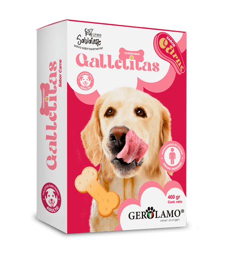 GEROLAMO GALLETA PERRO ADULTO SABOR CARNE1