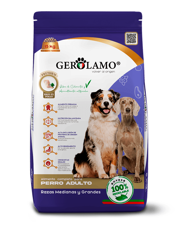 GEROLAMO PERRO ADULTO RAZA MEDIANA GRANDE1