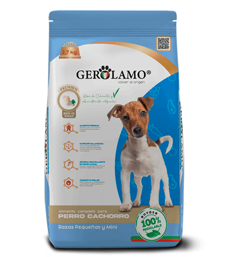 GEROLAMO PERRO CACHORRO RAZA PEQUEÑA Y MINI1