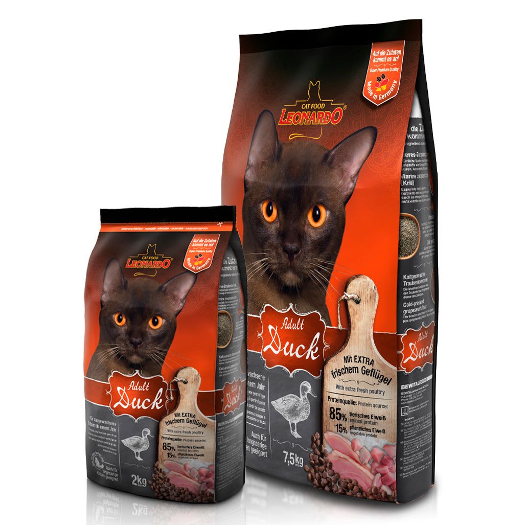 LEONARDO ADULT PATO1