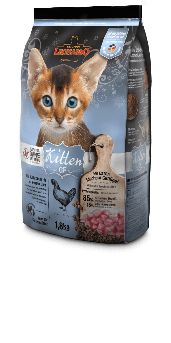 LEONARDO KITTEN GF1