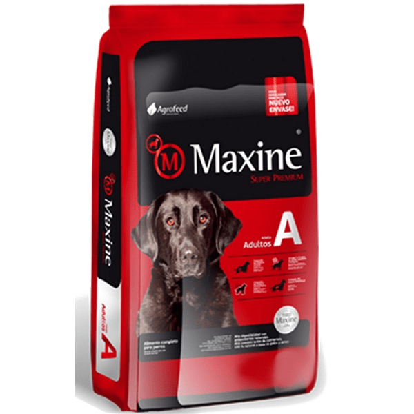 MAXINE ADULTO1