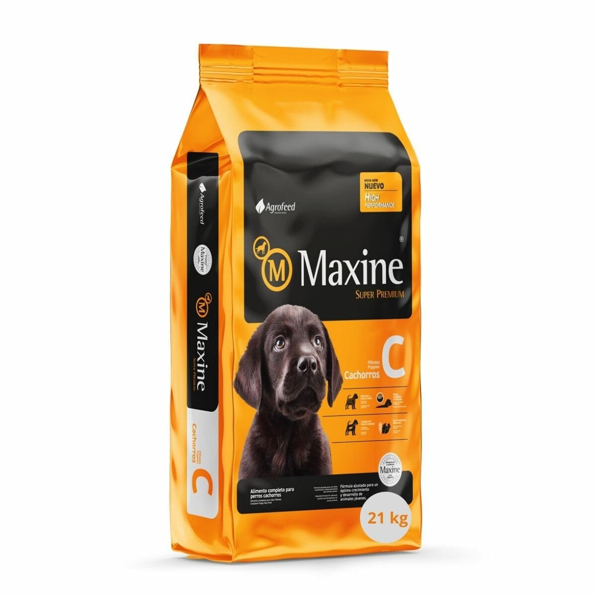 MAXINE CACHORRO1