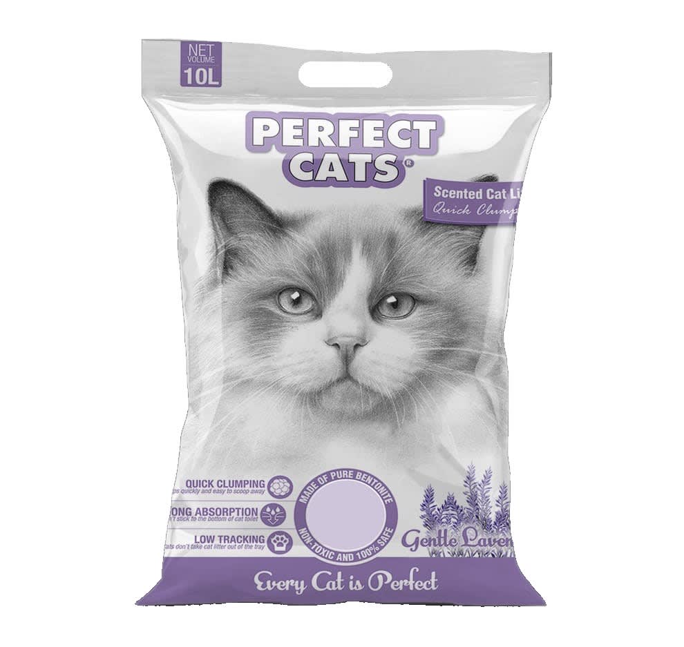 PERFECT CATS LAVANDA1