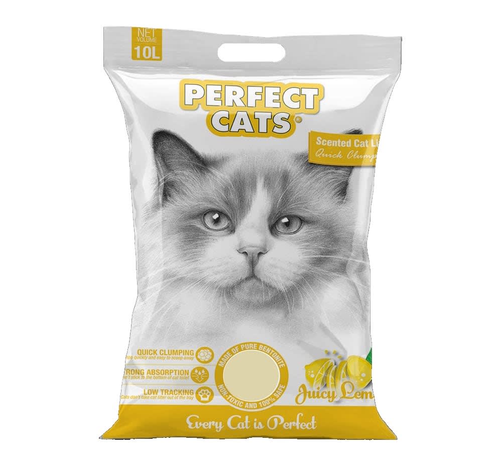 PERFECT CATS LIMON1