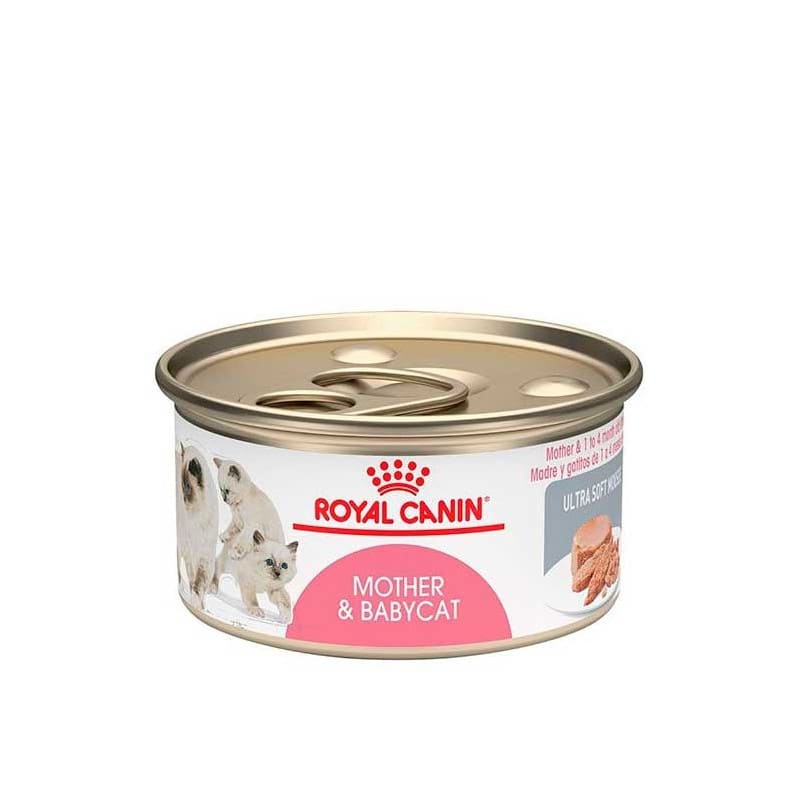 ROYAL CANIN LATA MOTHER & BABYCAT1