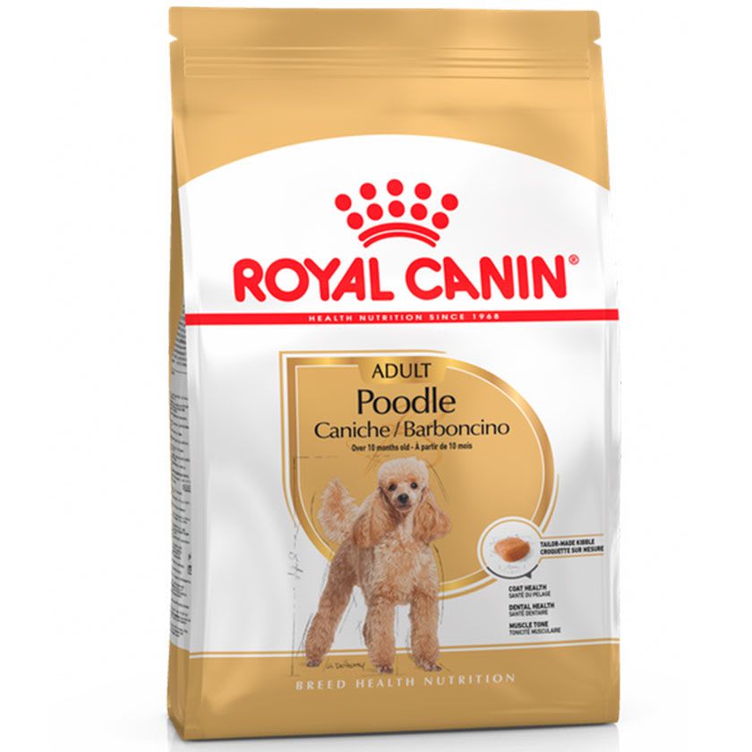 ROYAL CANIN POODLE ADULT1