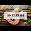 Inicio