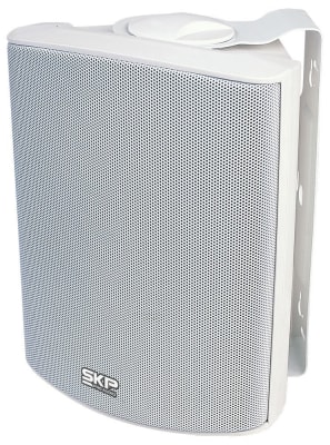 PARLANTE AMBIENTAL PASIVO SK105 SKP