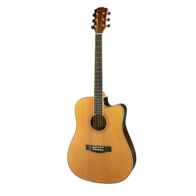GUITARRA APOLLO 41 EQ WOODSOUL