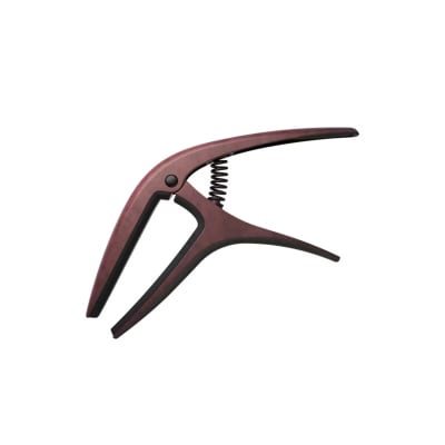 CAPODATRO BRONCE AXIS