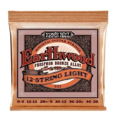 CUERDAS DE GUITARRA ELECTROACUSTICA 12 CUERDAS ERNIE BALL