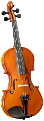 VIOLIN OUTFIT 4/4 CERVINI
