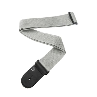 CORREA 50MM SILV-CA DADDARIO