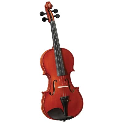 VIOLIN OUTFIT4/4 CERVINI
