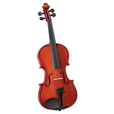 VIOLIN OUTFIT 1/2 CERVINI