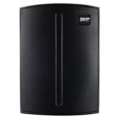 CAJA ACTIVA SKP Q1 PRO