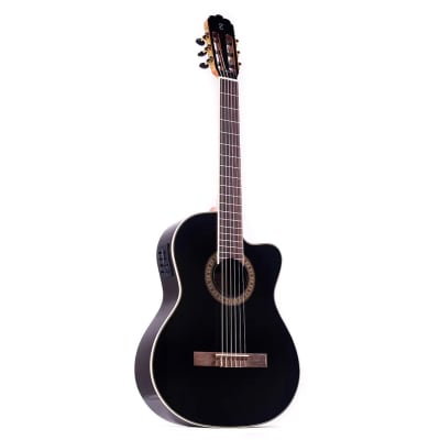 GUITARRA ELECTROACUSTICA WALNUT SERIES WS-12 TAGIMA
