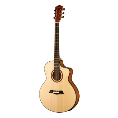 GUITARRA S-W 40 SLIM EQ WOODSOUL