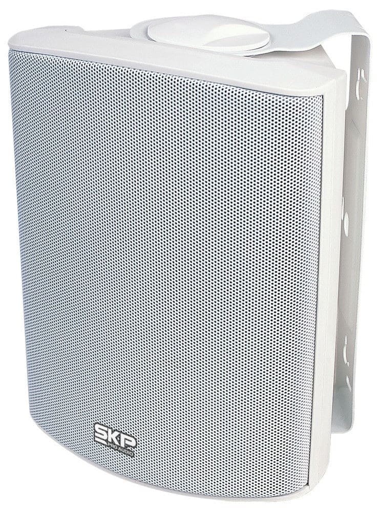 PARLANTE AMBIENTAL PASIVO SK105 SKP1
