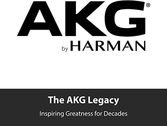 MICRÓFONO VOCAL AKG P5S1