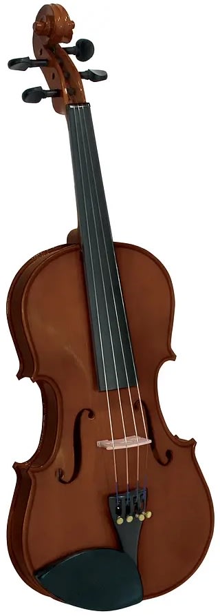 VIOLIN OUTFIT 4/4 CREMONA2