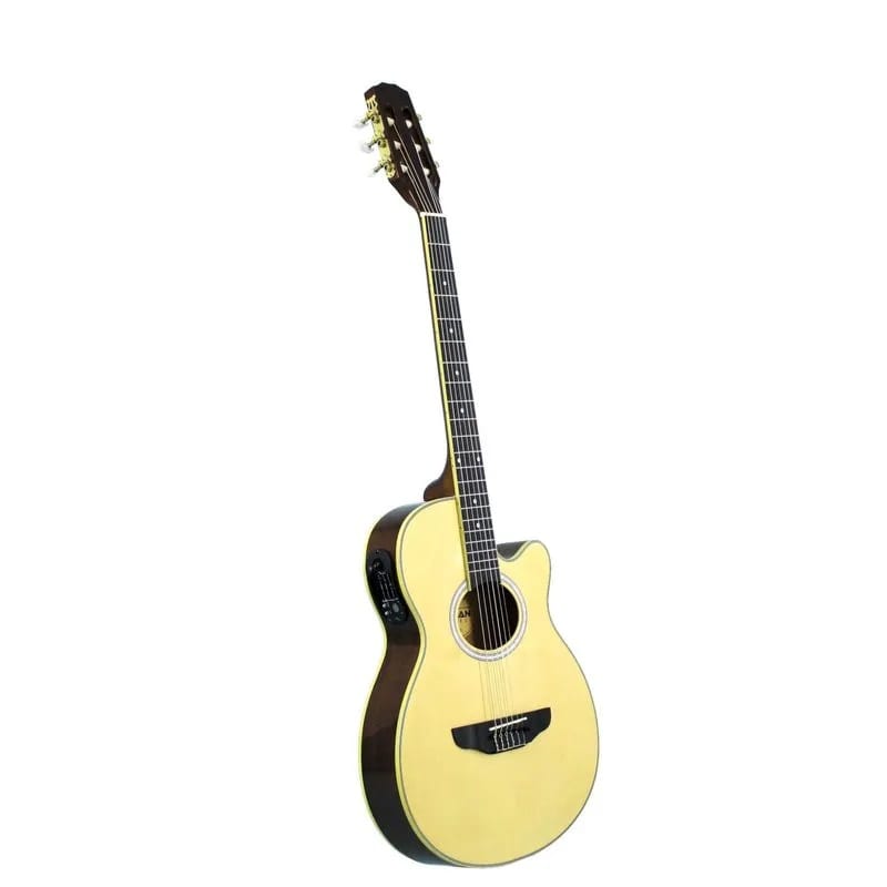 FRA95NCET NT GUITARRA E/A NYLON FREEMAN2