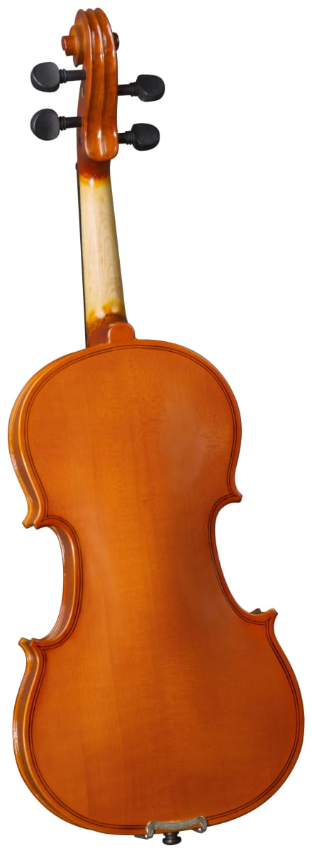 VIOLIN OUTFIT 4/4 CERVINI2