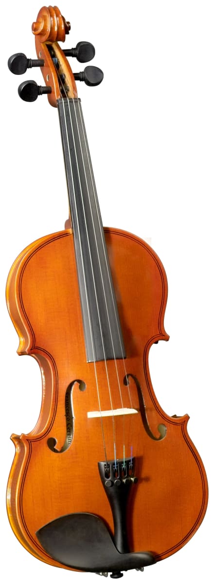 VIOLIN OUTFIT 4/4 CERVINI1