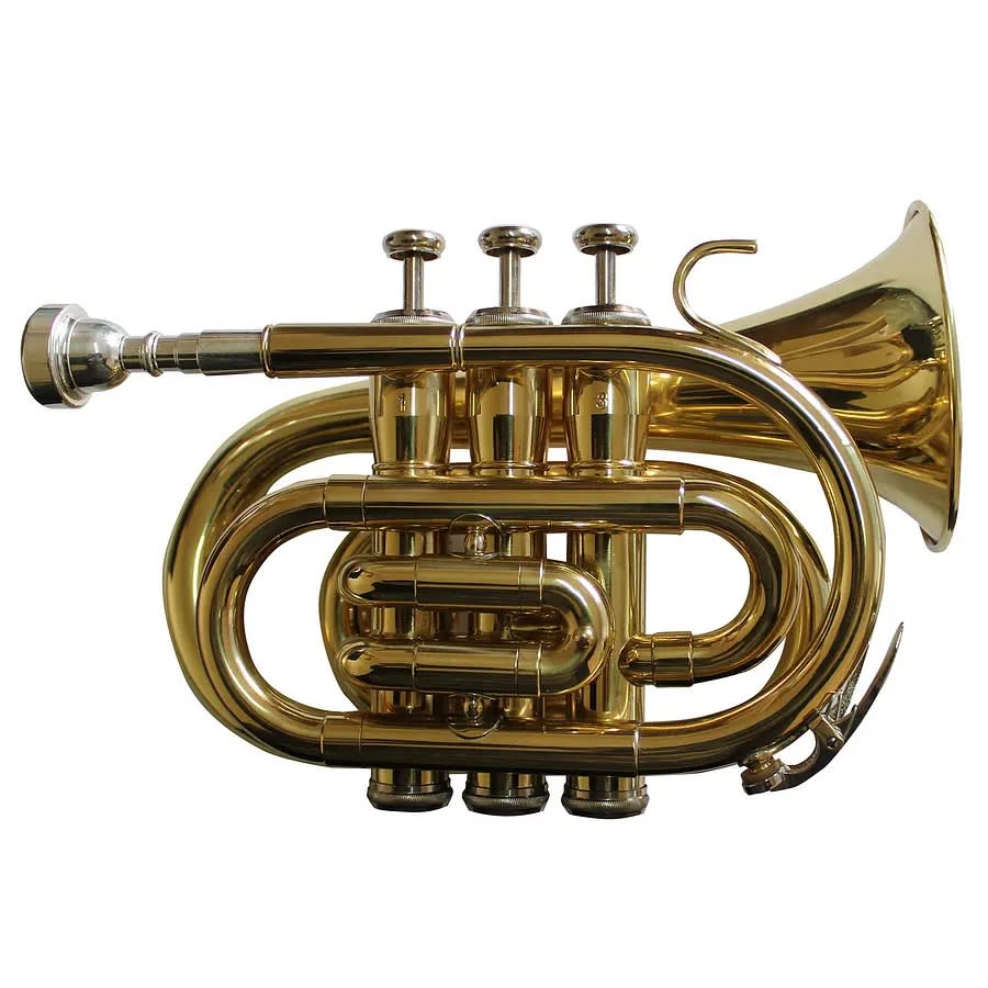 TROMPETA POCKET ALLEGRO (BB) DORADA2