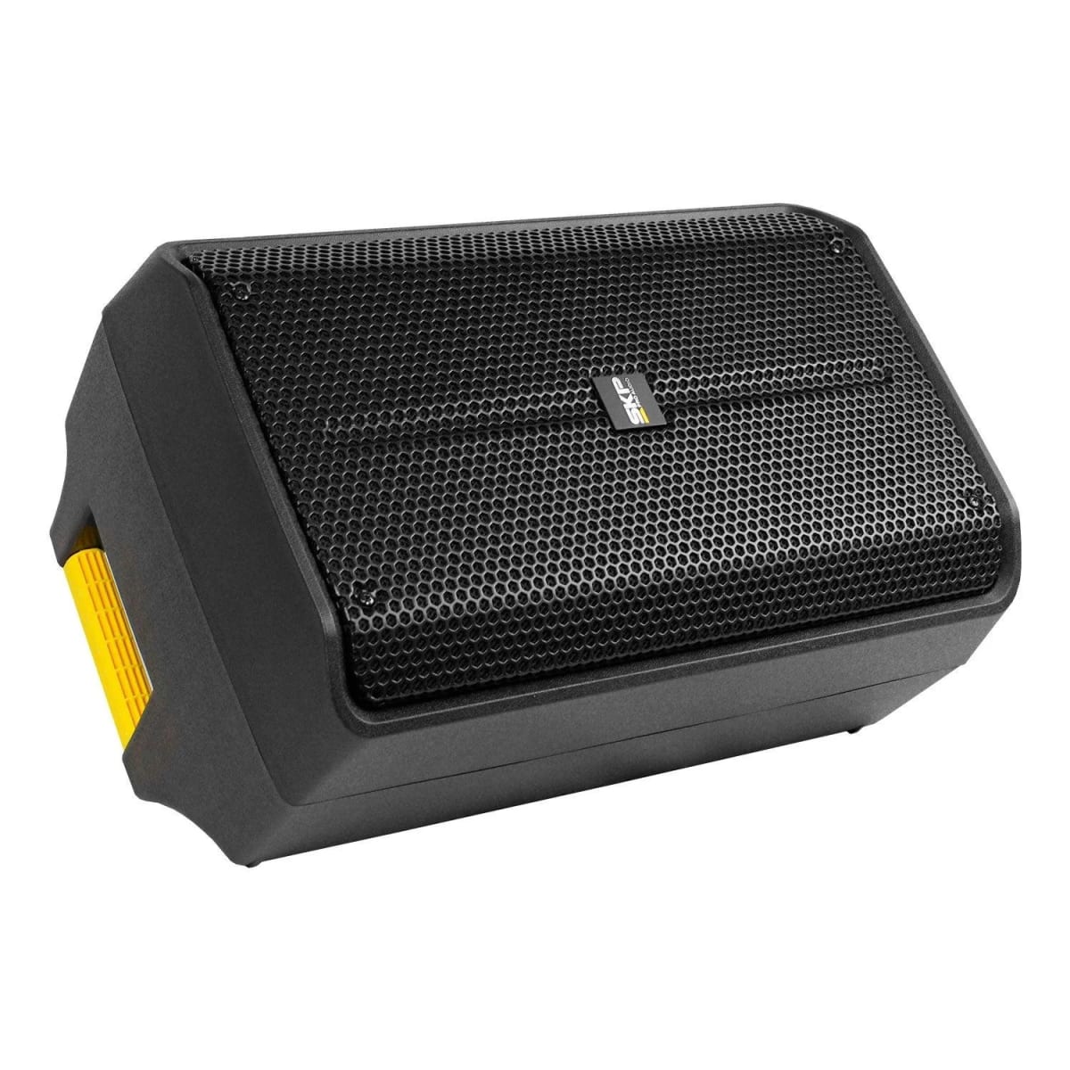 CAJA ACTIVA SKP Q10 MKII4