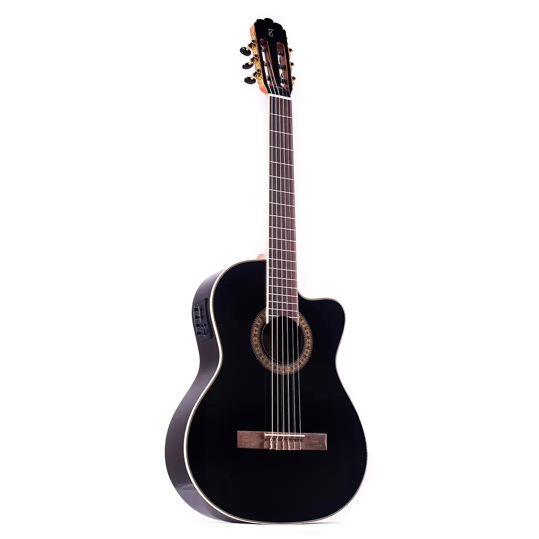 GUITARRA ELECTROACUSTICA WALNUT SERIES WS-12 TAGIMA1