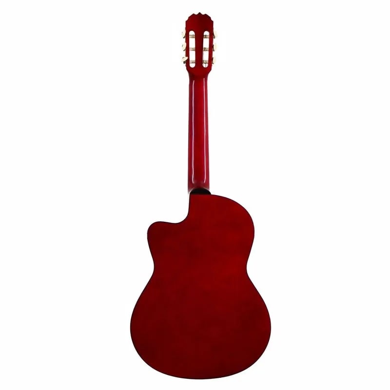 ARCG39-RB GUITARRA ACUSTICA NYLON CW VIZCAYA2