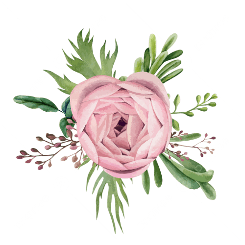 Inicio