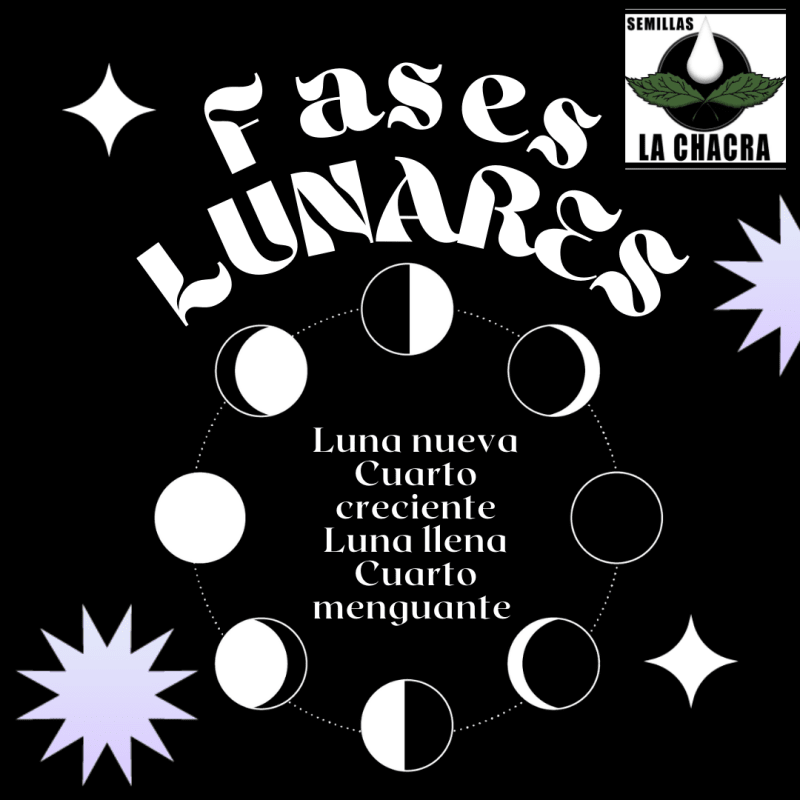 La Influencia de la Luna en los cultivos