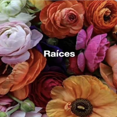 Raíces, Tuberos, etc.