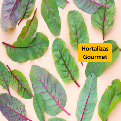 Hortalizas Gourmet